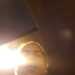 Damien's profile picture