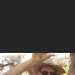 Dan's profile picture