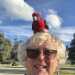 Kevin's profile picture