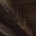 Mariap's profile picture