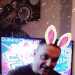 Antz's profile picture