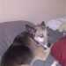 chattahoochee42's profile picture
