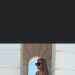 Leigha's profile picture