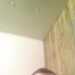 Stephen0280's profile picture