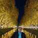 Amed's profile picture