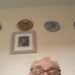 Brian's profile picture