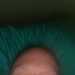 Toney's profile picture