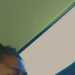 Shamika's profile picture