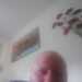 Steve's profile picture