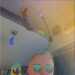 Dafydd's profile picture