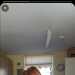 Hammersley's profile picture