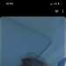 Liza's profile picture