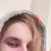 Daniel's profile picture