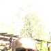 Anotherke322's profile picture