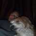 Dave's profile picture