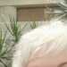 Carolyn's profile picture