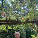 Maureen's profile picture