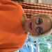 Muarapearl's profile picture