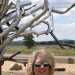 Softail65's profile picture