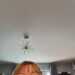 Linda's profile picture