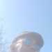 Darren's profile picture