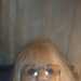 Susan's profile picture