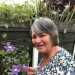 Anne's profile picture