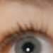 Millie's profile picture