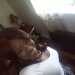 ChocolateC's profile picture