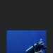 Fiona's profile picture