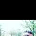 Saif's profile picture