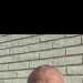 Gareth's profile picture