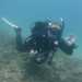 cezarsala858's profile picture