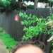 Omid's profile picture