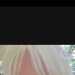 Tracy's profile picture