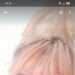 Alison's profile picture