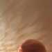 Mark's profile picture