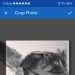 Simon's profile picture