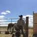 Leecattleman68's profile picture
