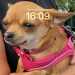Melanie's profile picture