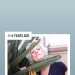 Karen's profile picture