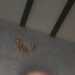 David's profile picture