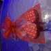 JoeyKing2's profile picture
