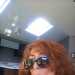 Bigred's profile picture