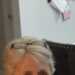 Debbie's profile picture