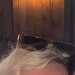Sarah's profile picture