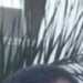 Jack's profile picture