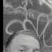 Ross's profile picture