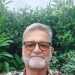 Steve's profile picture