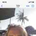 Shirley's profile picture